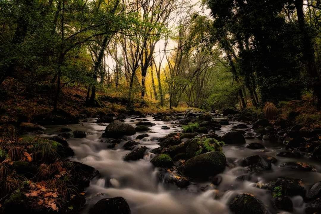 Hostel El Lago, Caceres Хараіс-де-ла-Вера Екстер'єр фото