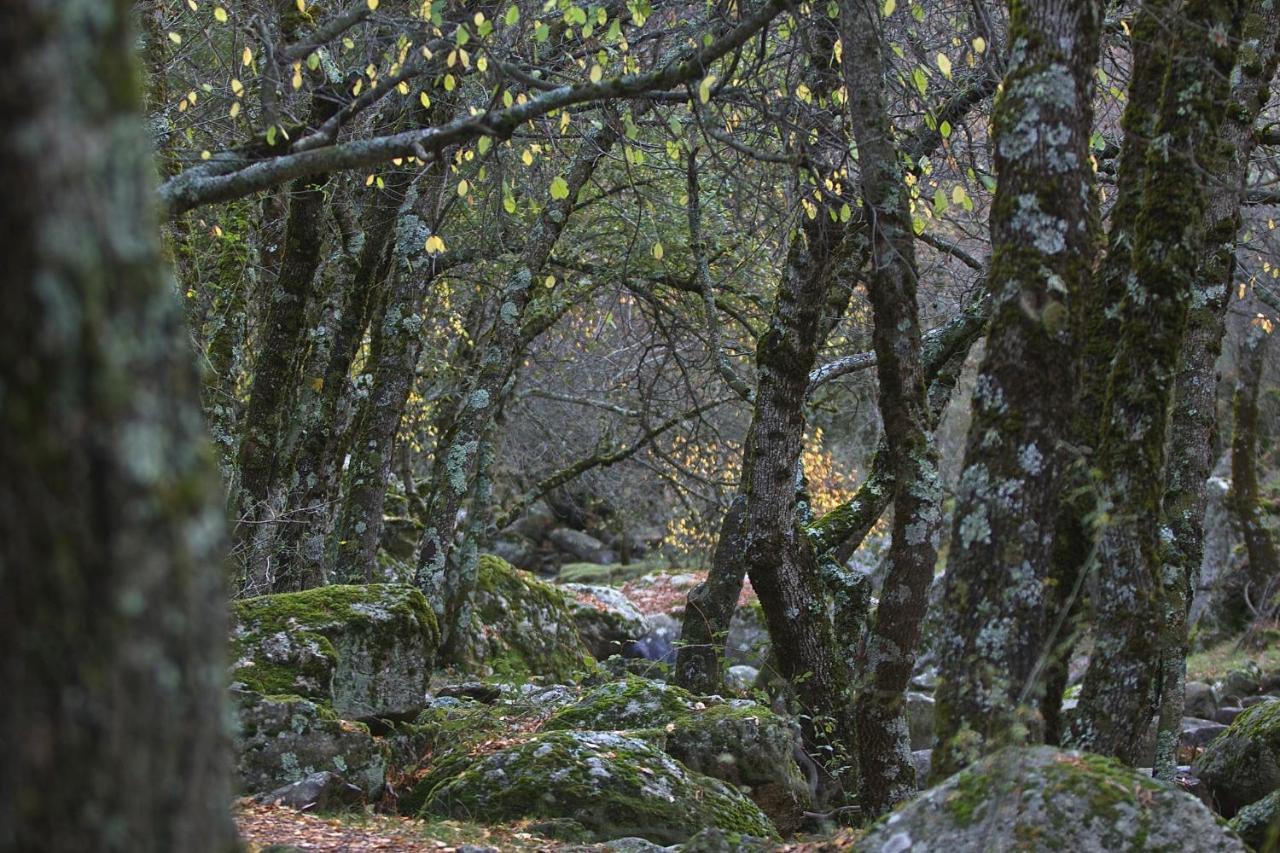 Hostel El Lago, Caceres Хараіс-де-ла-Вера Екстер'єр фото